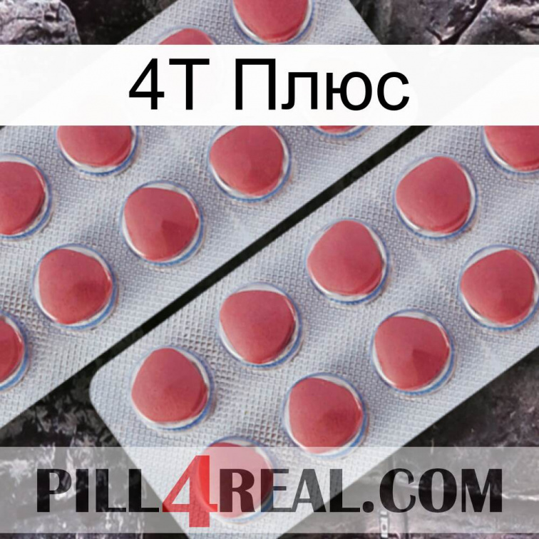 4Т Плюс 19